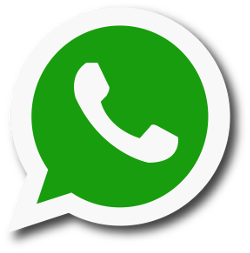 whatsapp nel sito