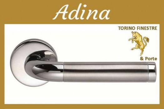 Frascio ADINA