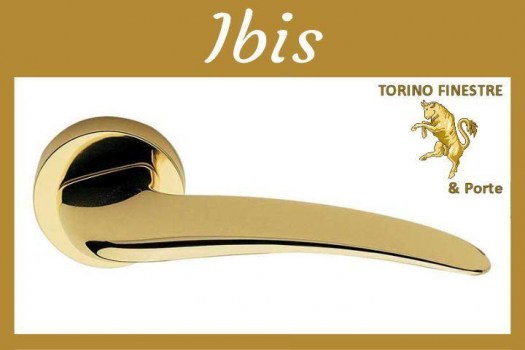 Frascio IBIS