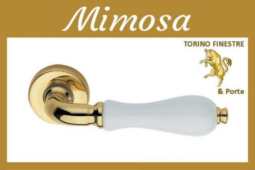 Frascio MIMOSA